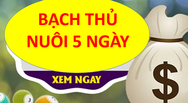 Bí quyết nuôi lô khung 5 ngày cho người mới