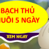 Bí quyết nuôi lô khung 5 ngày cho người mới