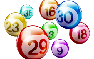 Bí quyết nuôi lô khung 5 ngày cho người mới