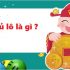 Bạch thủ lô là gì?